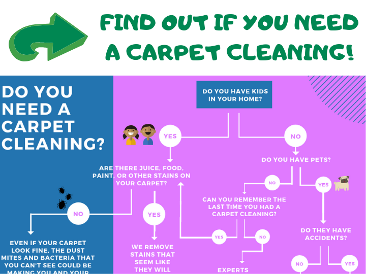 find out if you need a carpet cleaning blog Ivy Green Chem-Dry