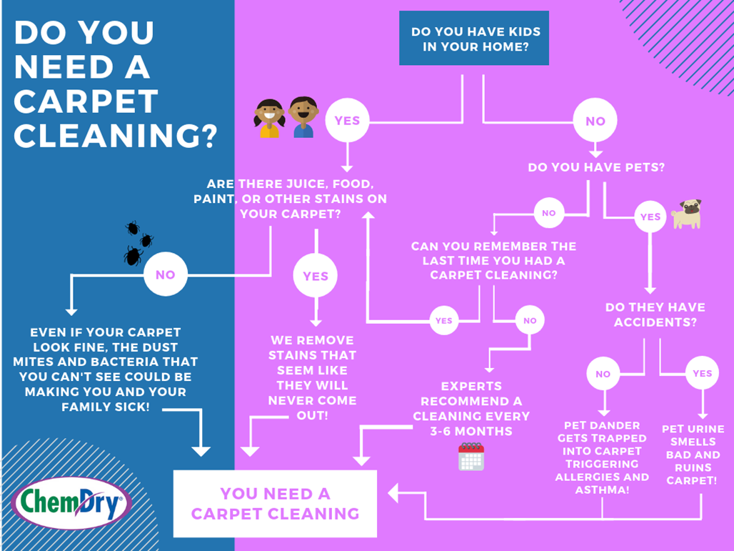 carpet cleaning flowchart do you need a carpet cleaning Corona CA